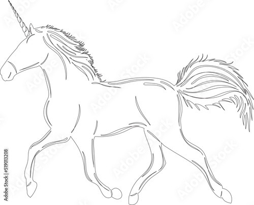 unicorn sketch on white background outline isolated  vector