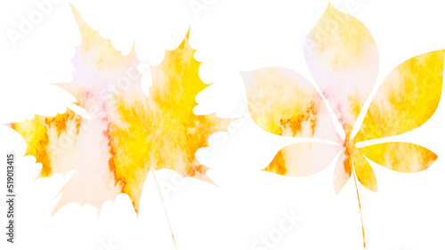 silhouette leaf watercolor white background isolated, vector