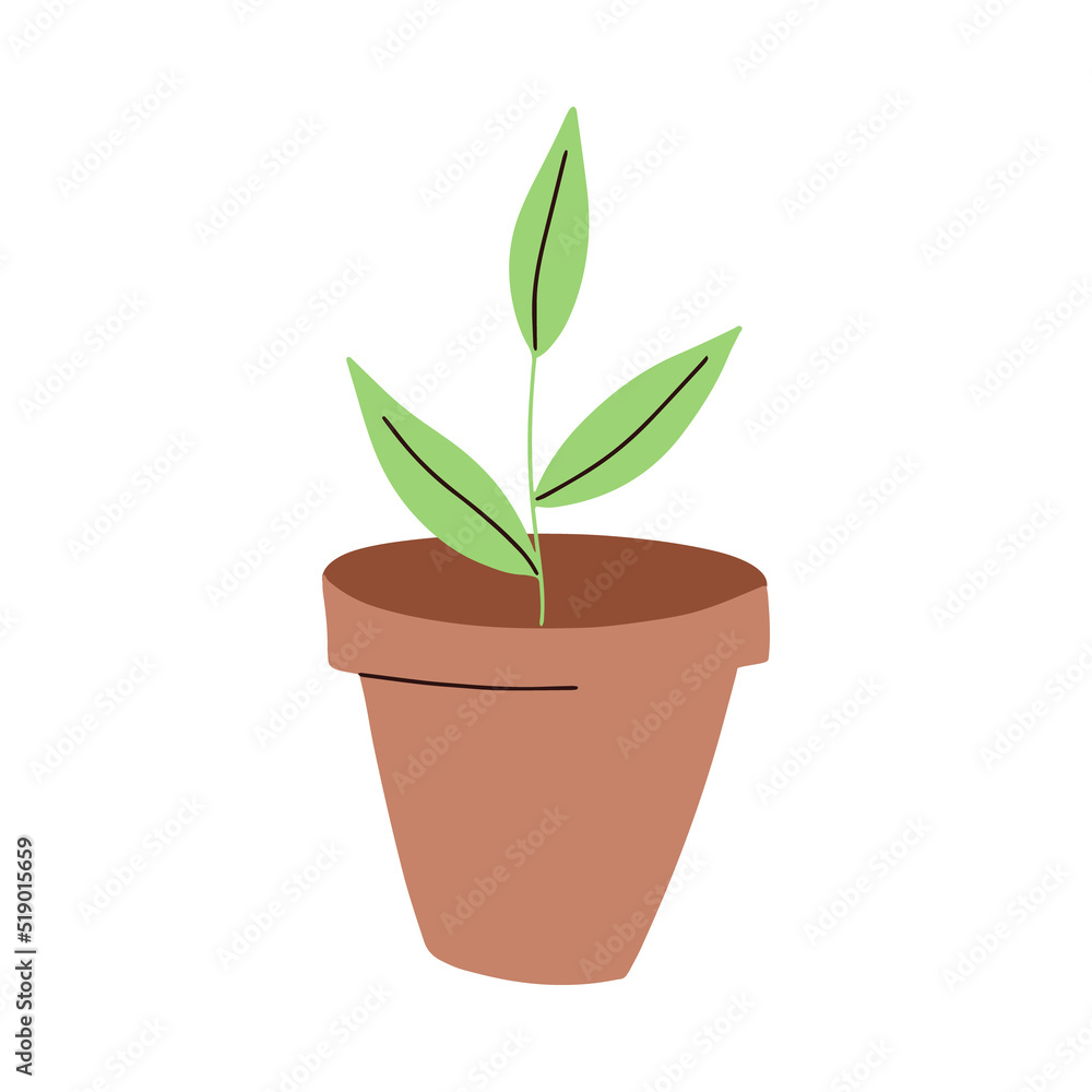 Plant pot. Vector illustration of flower in a pot Plant pot. Vector illustration of flower in a pot