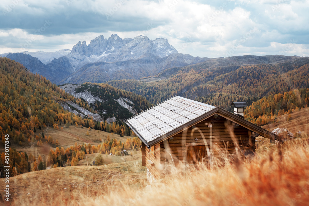 Incredible autumn view at Valfreda valley in Italian Dolomite Alps. Wooden cabin, yellow grass, orange larches forest and snowy mountains peaks on background. Dolomites, Italy. Landscape photography