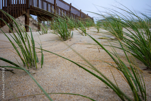 sand dunes and grass at Nags Head Beach in the Outer Banks, North Carolina