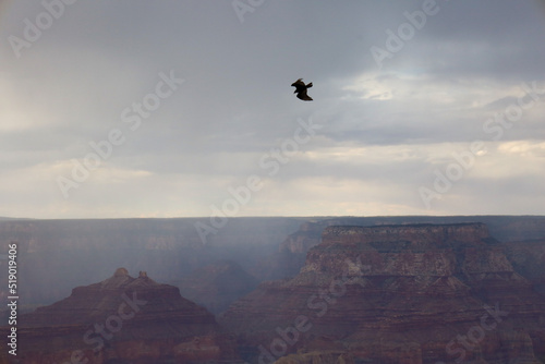 Grand Canyon Eagle
