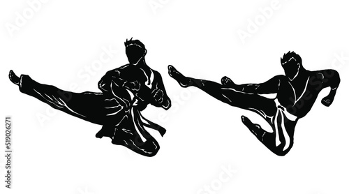 karate silhouette vector