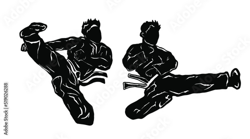 karate silhouette vector