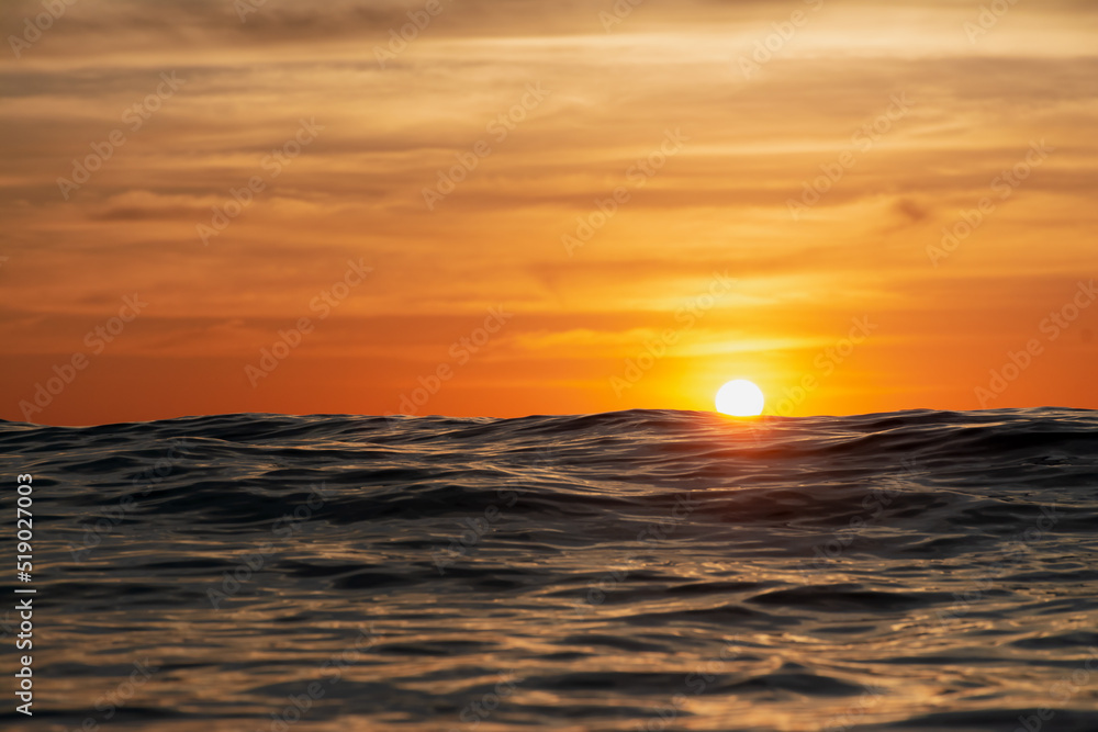 beautiful sea sunset, the wave closes the sun. View very close to the water