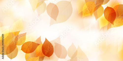 紅葉　もみじ　秋　背景