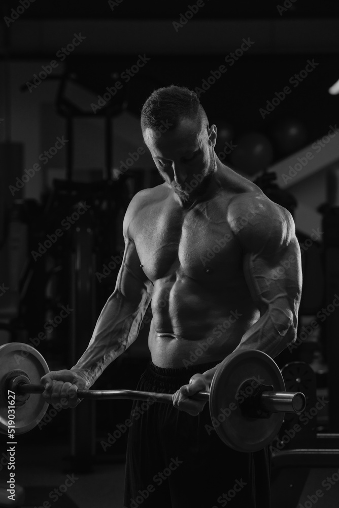A bodybuilder with a beard is doing bicep curls with a short barbell in a gym. A photo of a torso of a naked muscular man during a workout.