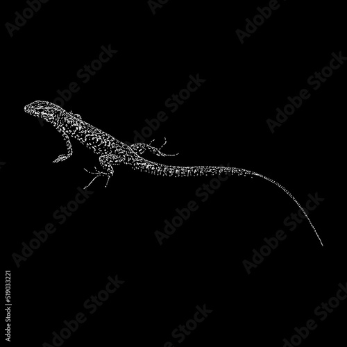 Lazarus Lizard hand drawing vector illustration isolated on black background