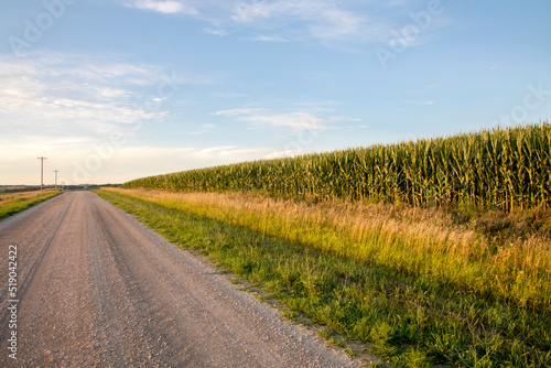 Tableau sur toile Iowa country road and corn field