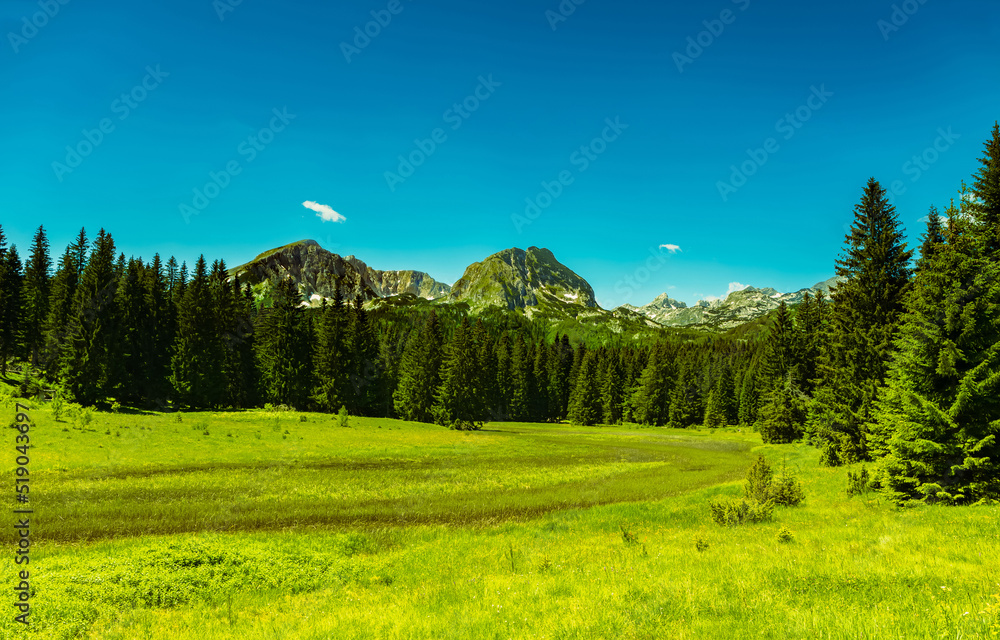 custom made wallpaper toronto digitalMountain landscape, Durmitor National Park in Montenegro, June, morning, sunny day