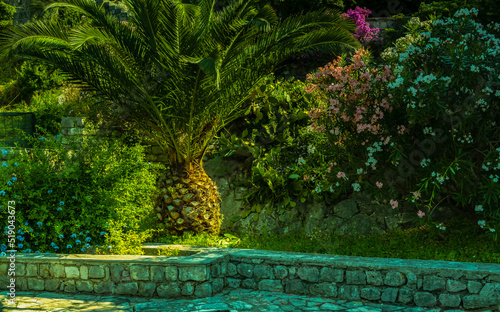 An isolated palm tree shaped like a large coconut on a natural background