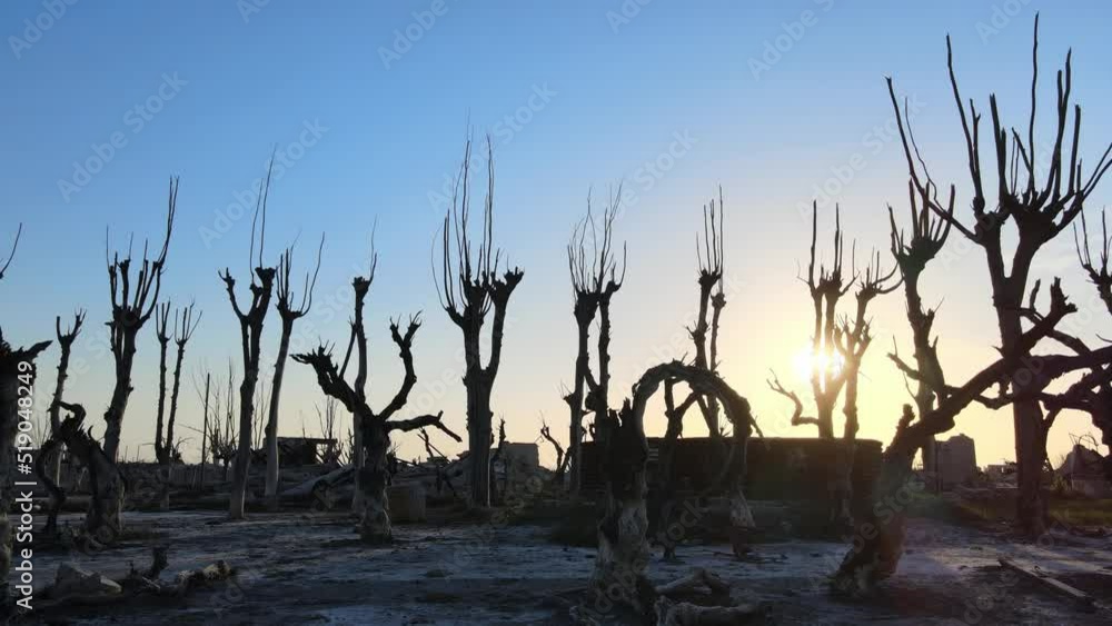 Silhouette of dead trees against blue sky at sunset, flooded town Epecuén; drone Silhouette of dead trees against blue sky at sunset, flooded town Epecuén; drone