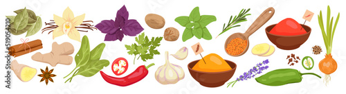 Wide set of cuisine spices. Food condiments, kitchen herbs and powder, aromatic dish ingredients, natural flavoring additive products, leaves plants and vegetables vector illustration