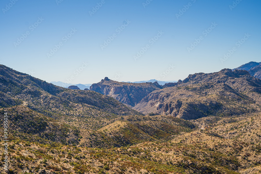 Arizona Nature Photography in the Winter