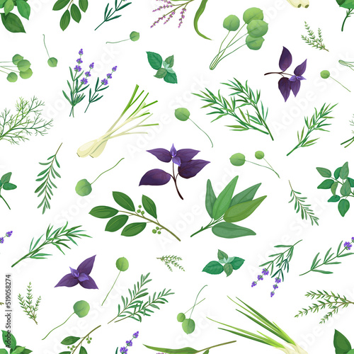 Floral herb pattern. Delicate botanical herbals, elegant blossom decoration and gentle nature plants. Decor kitchen textile, wrapping paper, wallpaper. Vector seamless background