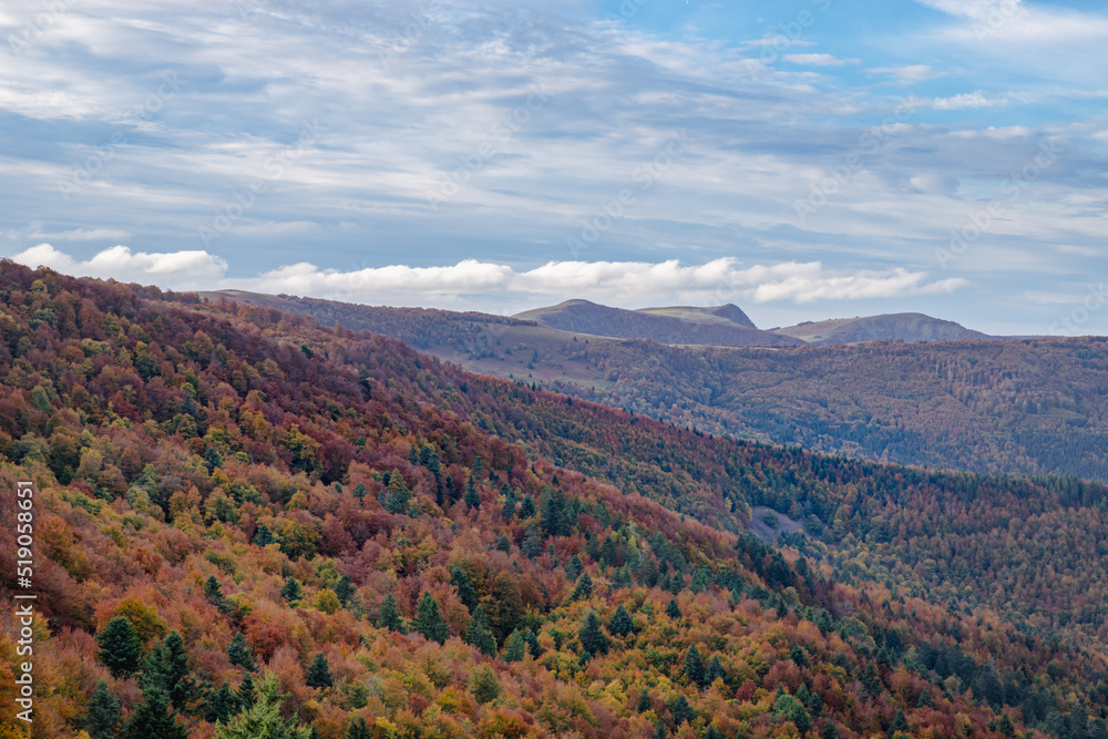 Autumn landscape with view of autumn colored trees in Vosges Mountains,