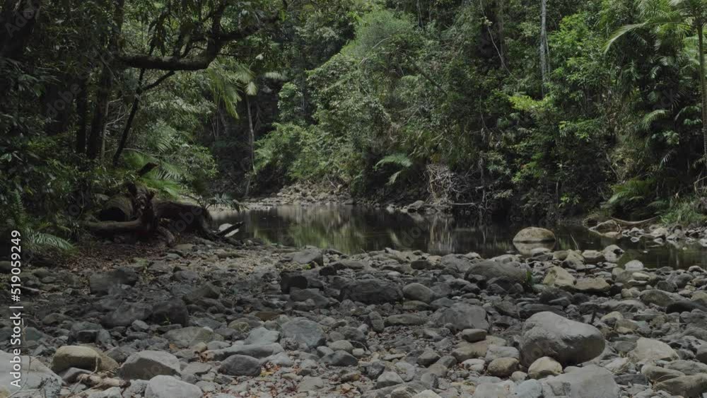 Boulders At The Riverbank Of A Mountain Creek In Daintree Rainforest, North Queensland, Australia. Static Shot Boulders At The Riverbank Of A Mountain Creek In Daintree Rainforest, North Queensland, Australia. Static Shot