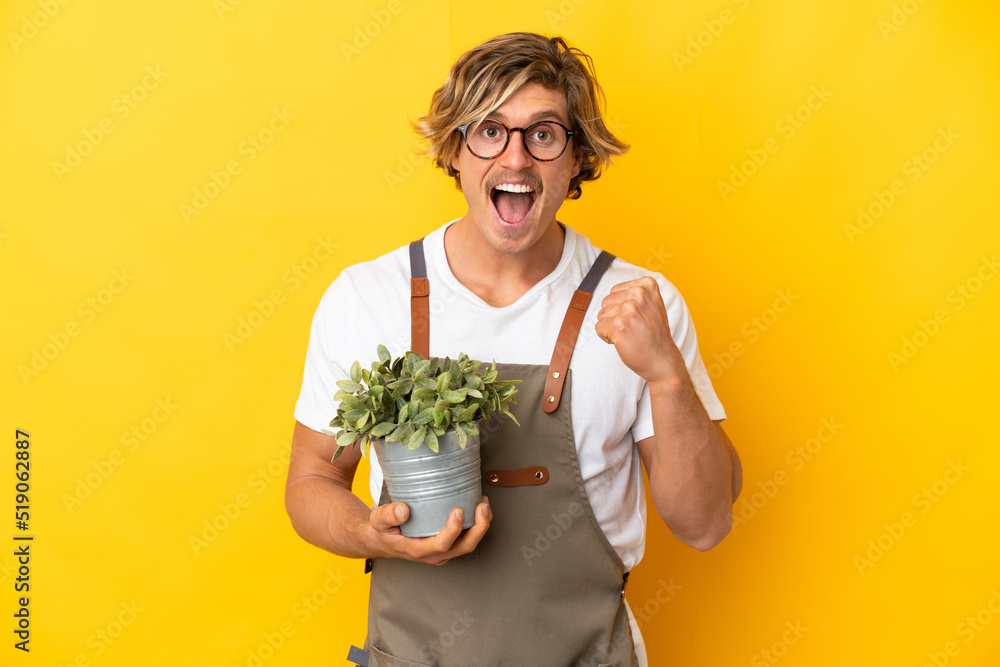 Gardener blonde man holding a plant isolated on yellow background celebrating a victory in winner position Gardener blonde man holding a plant isolated on yellow background celebrating a victory in winner position