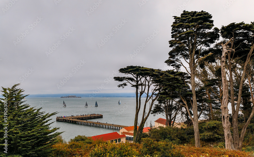 View of San Francisco Bay and Alcatraz with low hanging fog and Monterey cypress trees seen from Fort Point trail in the summer in San Francisco, USA View of San Francisco Bay and Alcatraz with low hanging fog and Monterey cypress trees seen from Fort Point trail in the summer in San Francisco, USA
