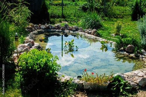 Small pond in the garden as landscaping design element.