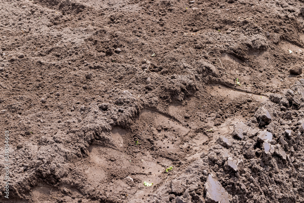 Soil in the field for agriculture, close up Soil in the field for agriculture, close up