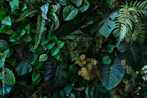 Vászonkép Full Frame of Green Leaves Pattern Background, Nature Lush Foliage Leaf Texture,