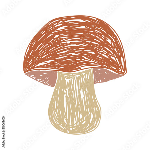 Mushroom. Boletus edulis. Hand drawn vector illustration. Pen or marker doodle sketch