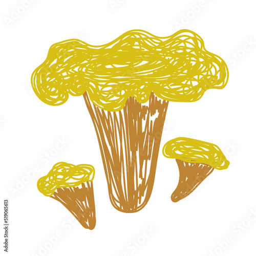 Mushroom. Cantharellus cibarius. Hand drawn vector illustration. Pen or marker doodle sketch