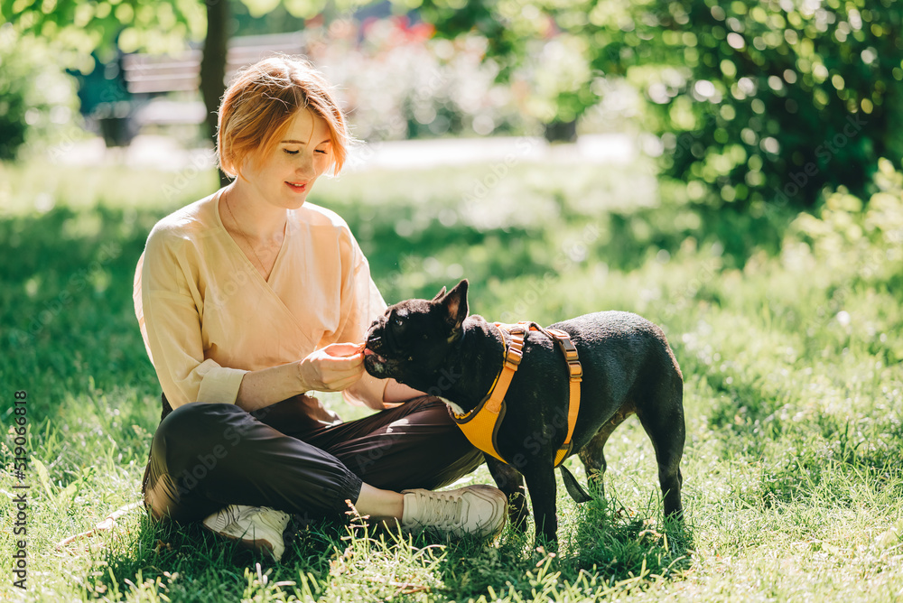 Black french Bulldog Puppy cuddling up with owner girl laying on lawn in park outdoors summer spring day kissing hugging petting. Happy woman with dog outside