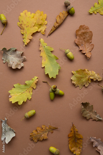Seasonal composition with yellow oak leaves and acorns on brown surface autumn