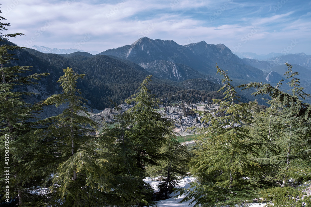 mountain forest landscape mountain forest landscape