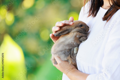Adorable little bunny laying down in woman chest. Woman hugging and cuddling her pet holland lop rabbit with love and tenderness.
