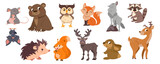 Cute forest animals collection. Wild bear, funny squirrel, smiling fox and owl, hedgehog, deer. Wildlife biodiversity. Set of woodland characters for children books cartoon vector illustration.