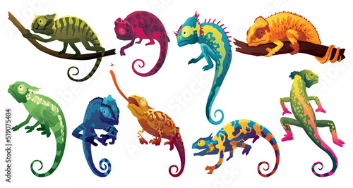 Chameleon lizards. Reptiles with curved tail and camouflage skin, tropical wildlife. Exotic animals closeup