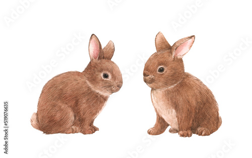 Beautiful stock illustration with hand drawn watercolor cute rabbit family. Forest animal composition clip art.