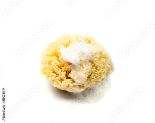 Natural Sponge Isolated photo