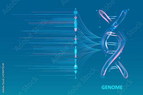 Big genomic data visualization