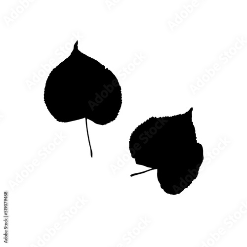 Black linden leaf vector icon on white background