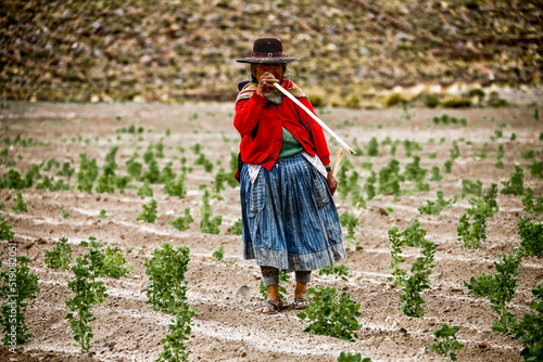Traditionally clothed indigenous Quechua woman in Bolivia. photo