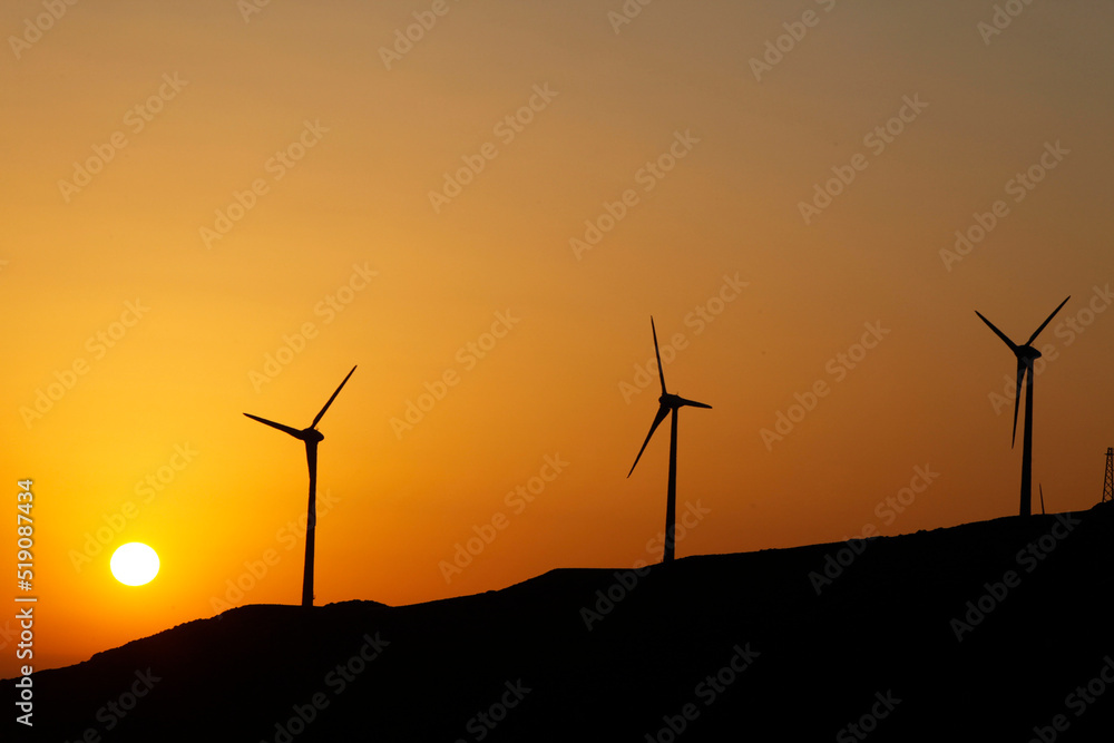 Obraz premium Windmills