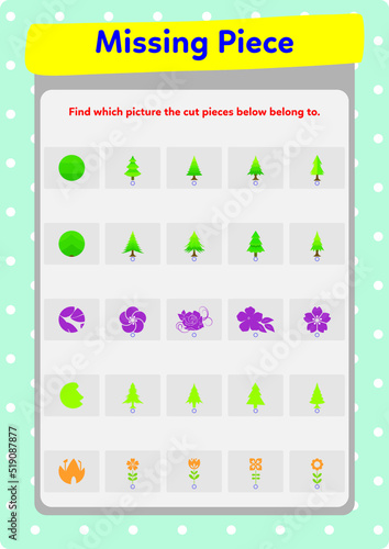 Finding the missing piece in the Picture