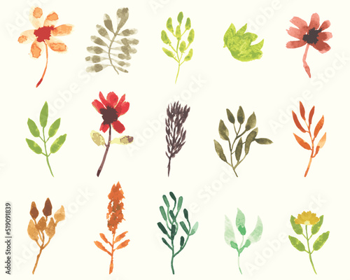 Watercolor floral illustration set - green leaf branches collection. wild floral watercolor element collection. Wedding concept. Vector arrangements for greeting card or invitation design