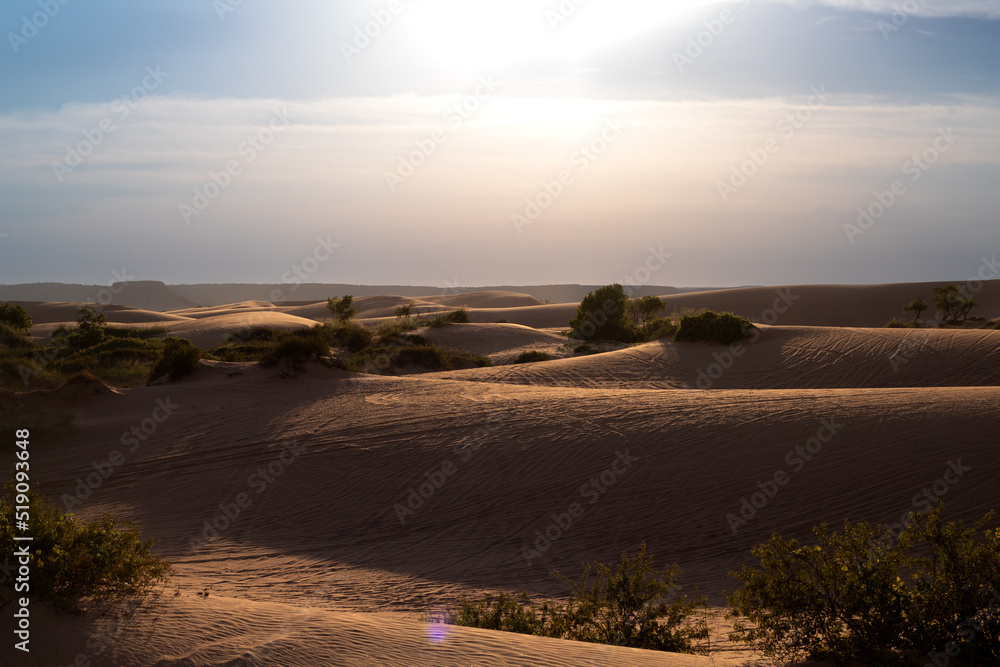 Sand Dune Landscape Sand Dune Landscape