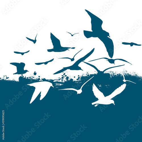 Flying seagulls on the sea abstract. Vector illustration
