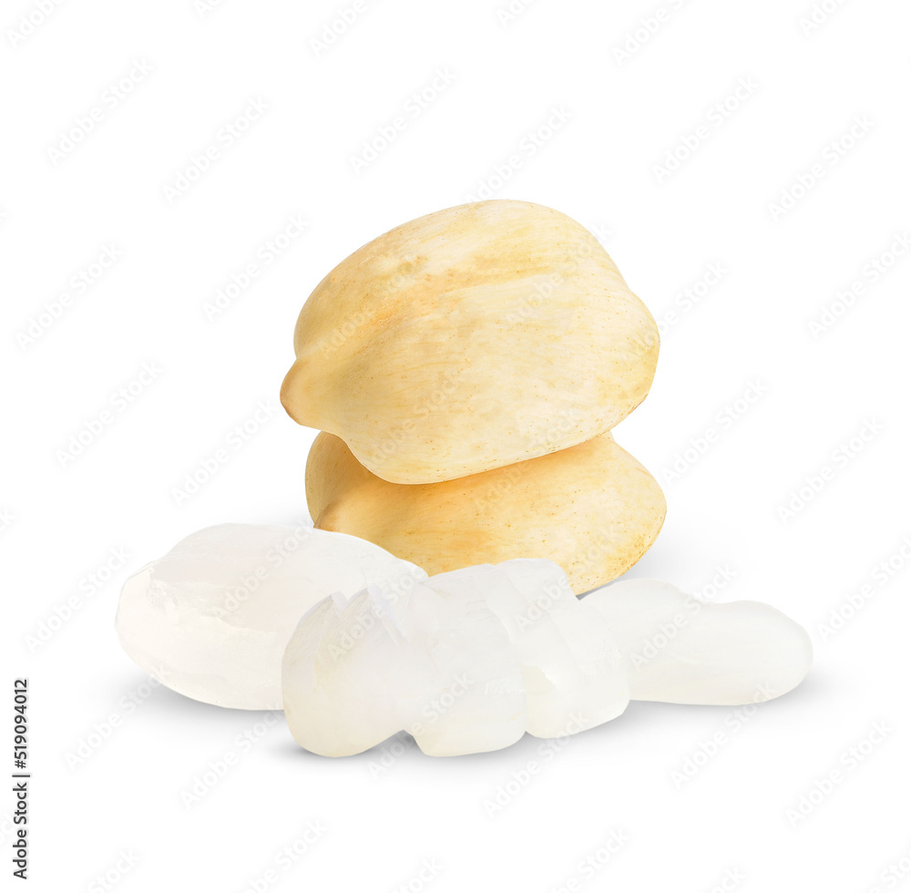 Asian Palmyra palm, Toddy palm, Sugar palm isolated on white background. Asian Palmyra palm, Toddy palm, Sugar palm isolated on white background.