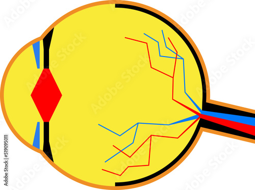 Concept of human eye anatomy in geometric patchwork style. Graphic composition for advertisement, banner, packaging design.