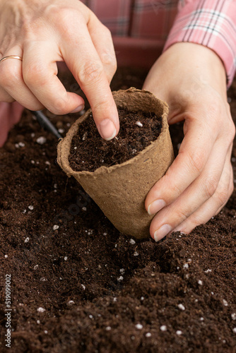 A woman's hand plants a seed in a pot of earth.