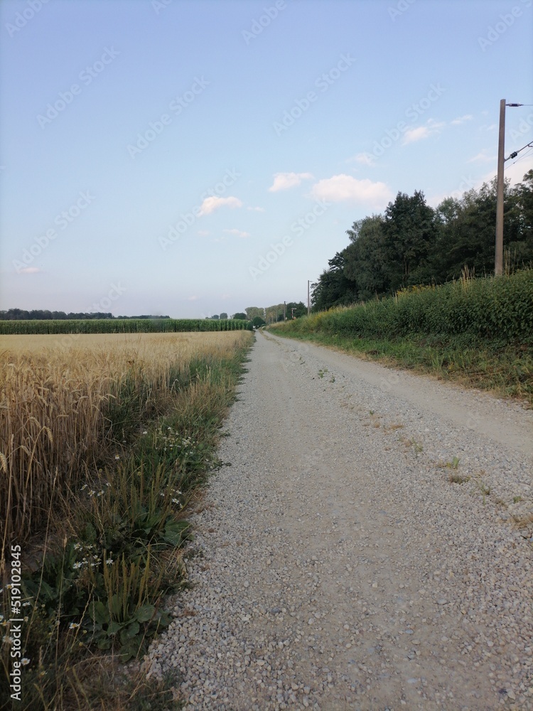 road to the sea