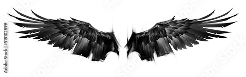 drawn black eagle wings in a span on a white background