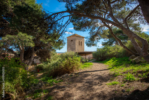 The steeple of the church of Gruissan seen through pine trees